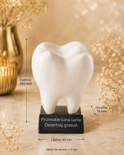 Dinte decorativ 3D pentru cabinet stomatologic – cu plăcuță detașabilă