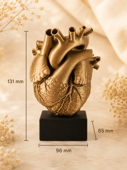 Inimă anatomică decorativă 3D cu plăcuță personalizabilă